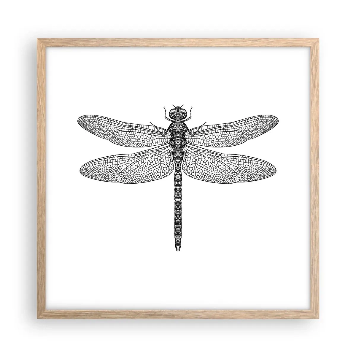 Plakat w ramie jasny dąb - Precyzja natury - 50x50 cm