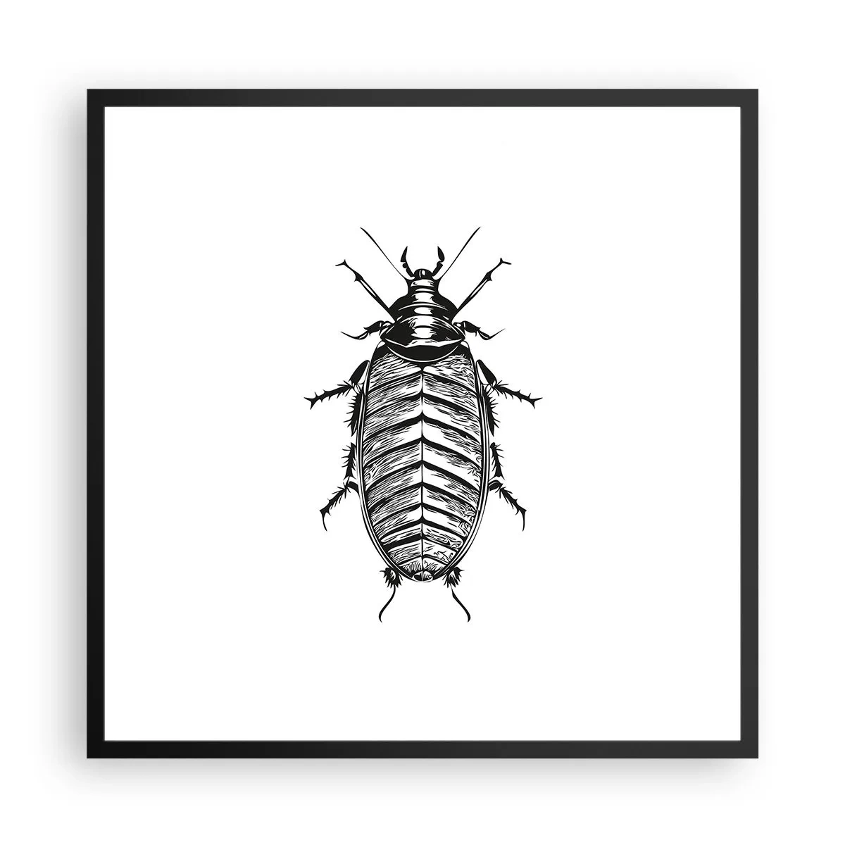 Plakat w czarnej ramie - Co za okaz! - 60x60 cm