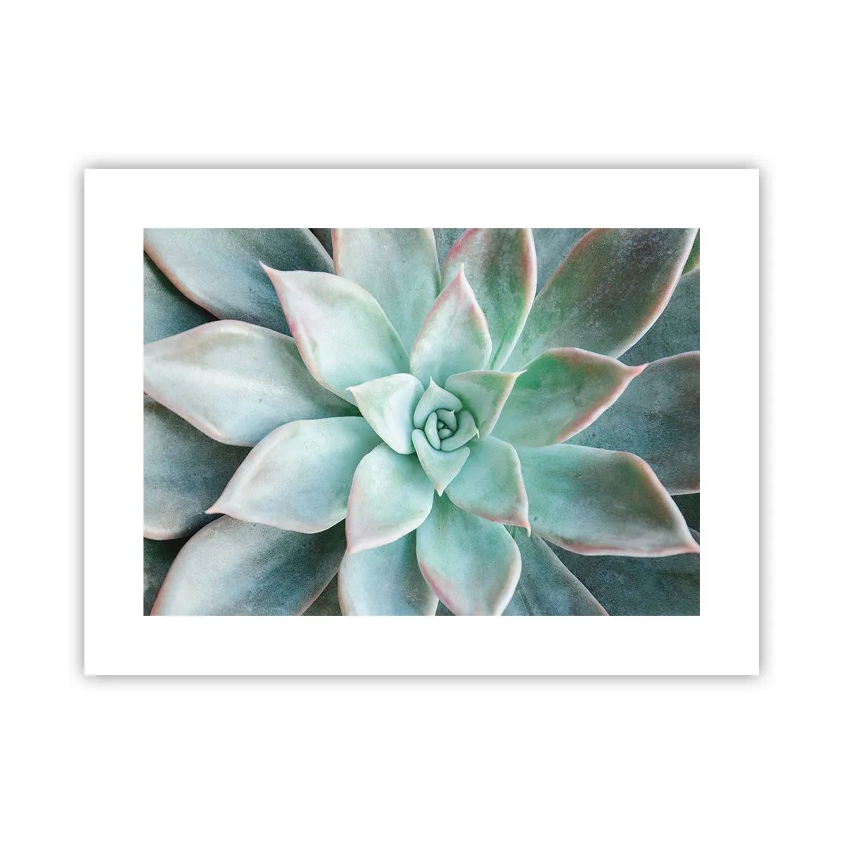 Plakat - Serce pustyni - 40x30 cm