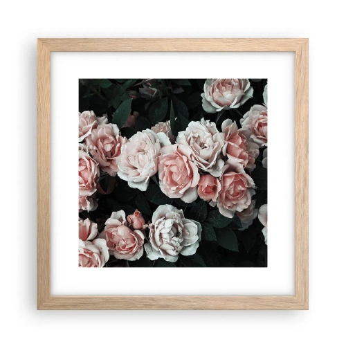 Plakat w ramie jasny dąb - Różany ansamble - 30x30 cm