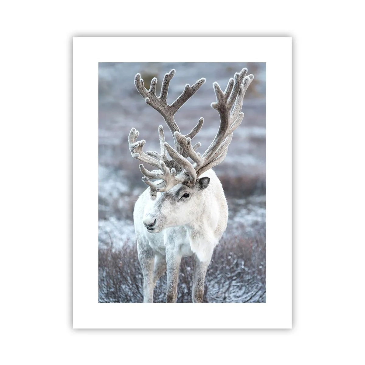 Plakat - Portret w słońcu - 30x40 cm