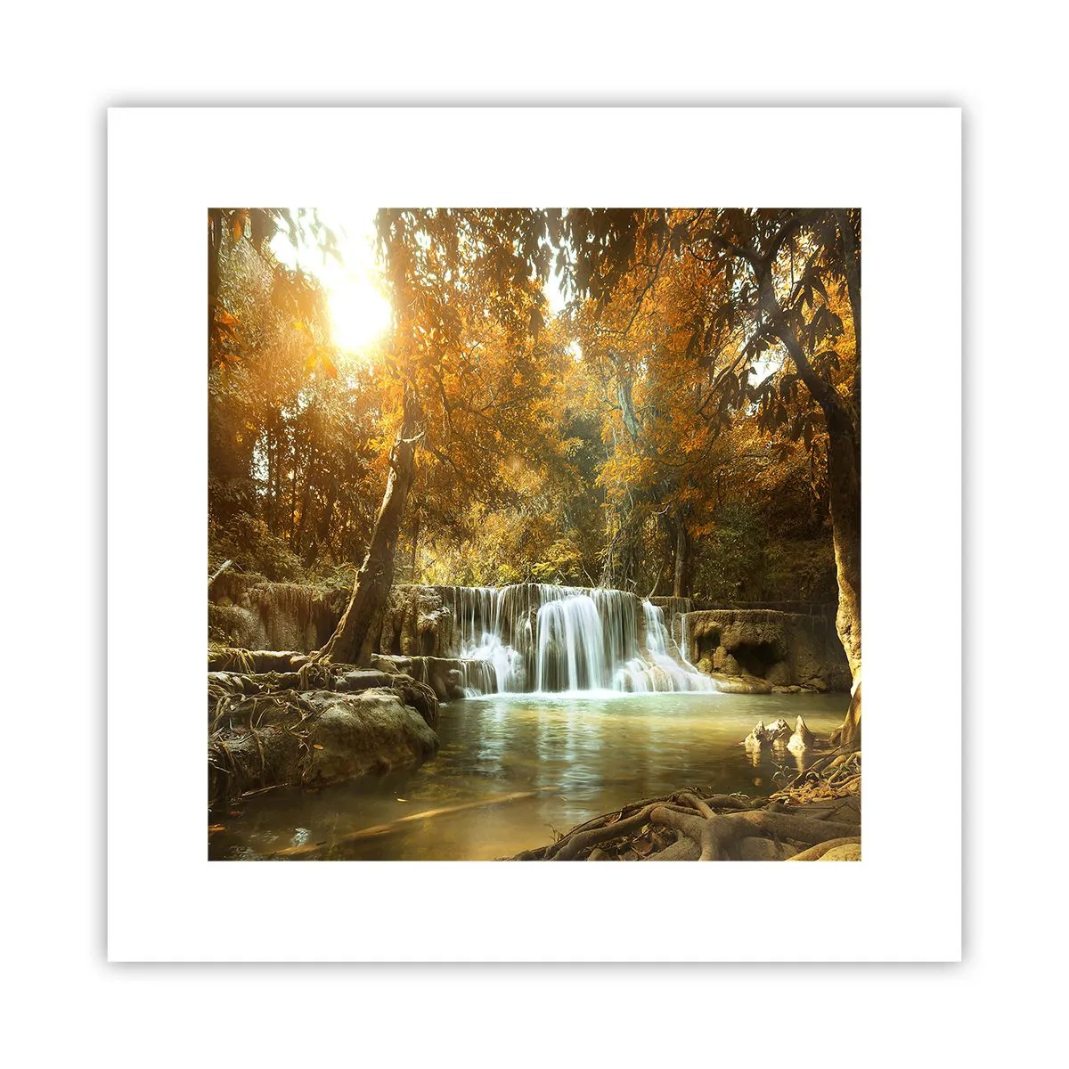 Plakat - Parkowa kaskada - 30x30 cm