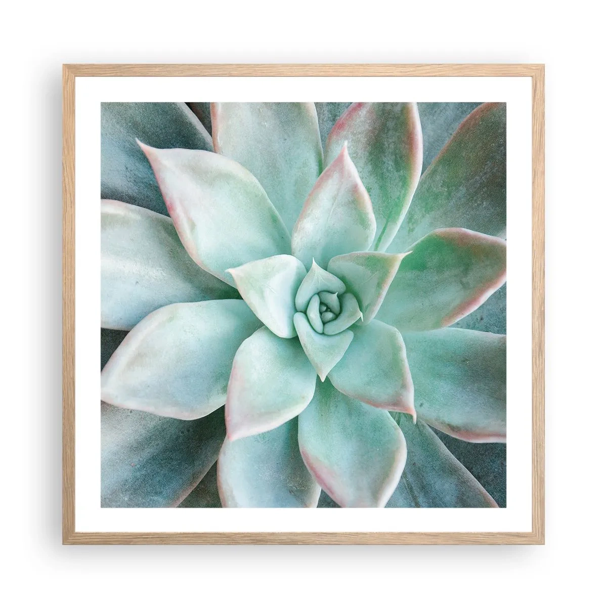 Plakat w ramie jasny dąb - Serce pustyni - 60x60 cm