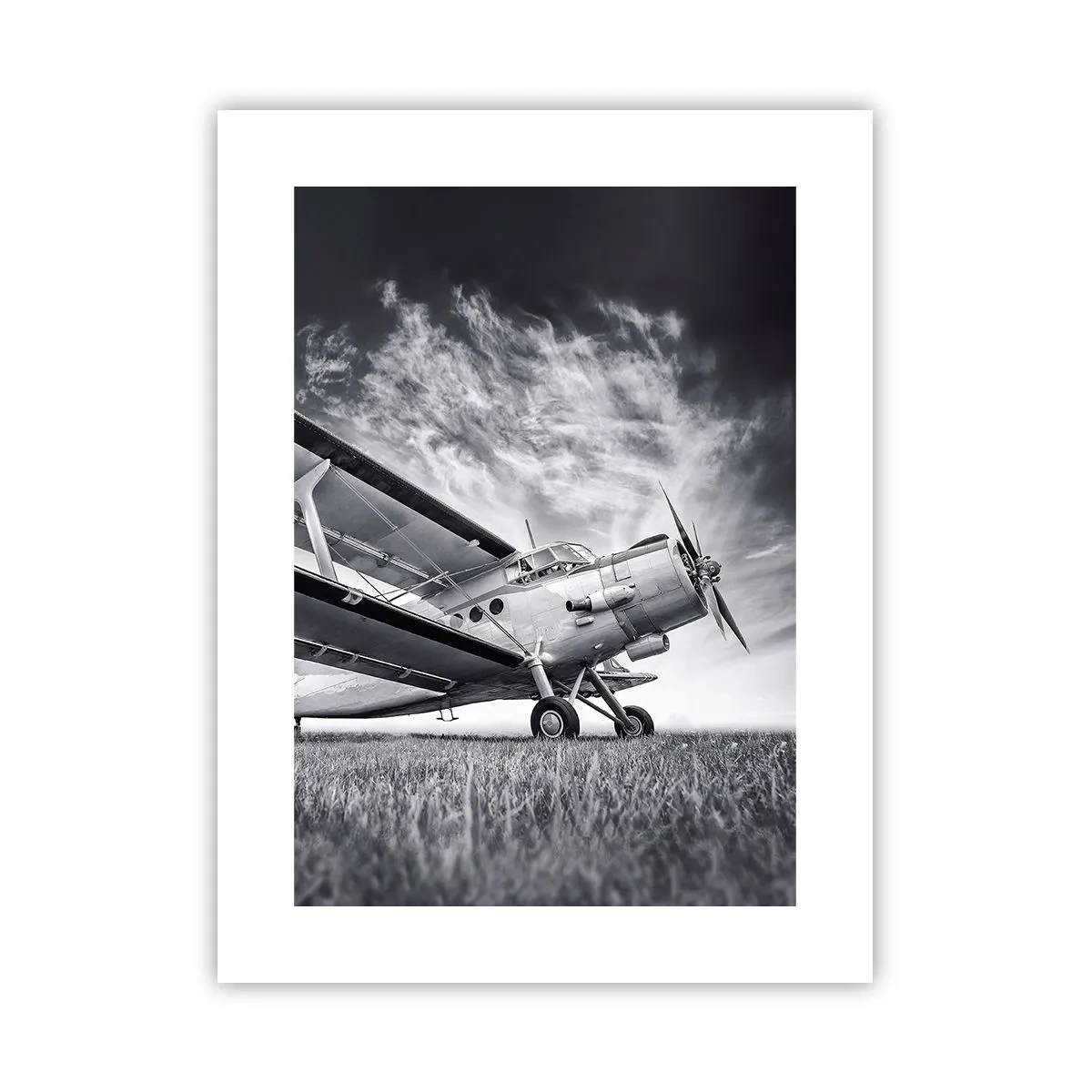 Plakat - Skrzydlaty wędrowiec - 30x40 cm