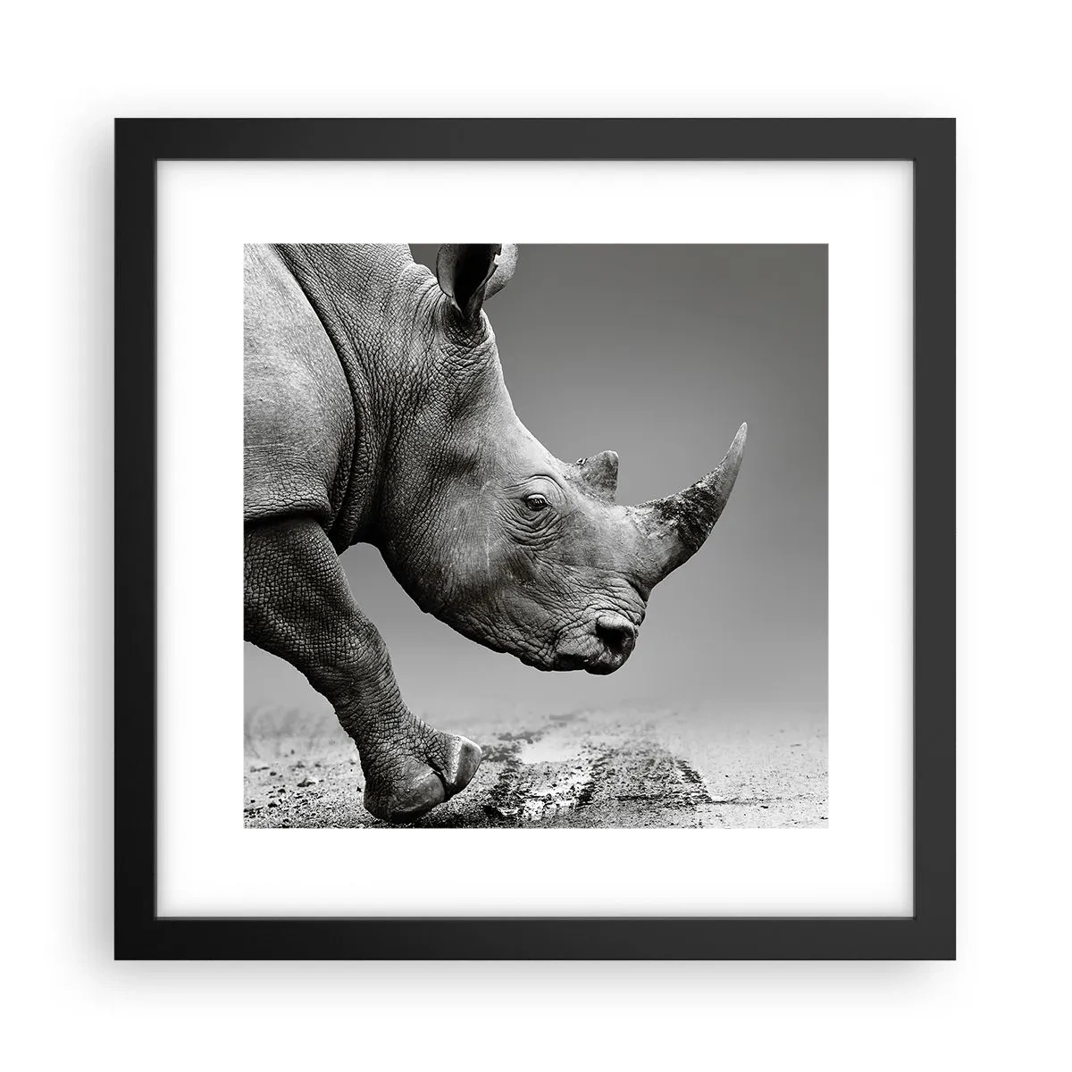 Plakat w czarnej ramie - Niepowstrzymana siła - 30x30 cm