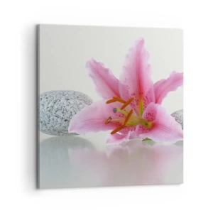 Obraz na płótnie - Studium w różu, szarości i bieli - 60x60 cm