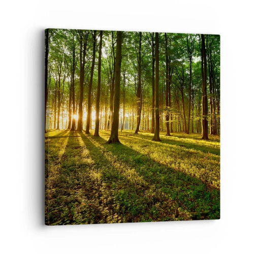 Obraz na płótnie - Fotografia wszystkich wiosen - 30x30 cm