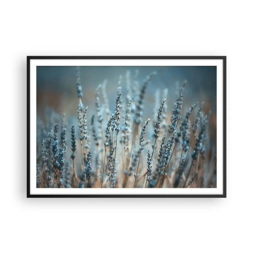 Plakat w czarnej ramie - Lawenda na polu w subtelnej pastelowej tonacji - 100x70cm - Pachnący łan - Nowoczesna dekoracja ścienna do salonu i sypialni ARTTOR