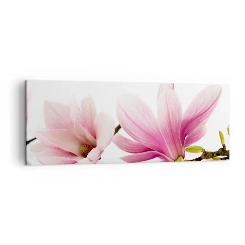 Obraz na płótnie - Delikatne różowe magnolie na białym tle - 140x50cm - Delikatne jak powiew wiosny - Nowoczesna dekoracja ścienna do salonu i sypialni ARTTOR