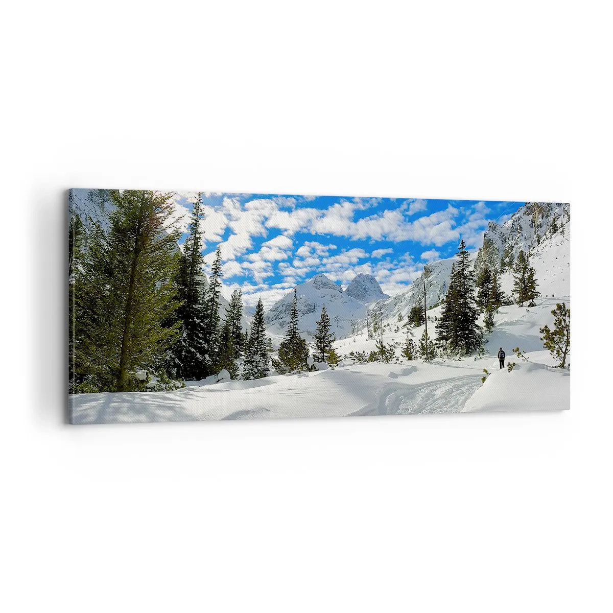 Obraz na płótnie - W śniegu i w słońcu - 100x40 cm