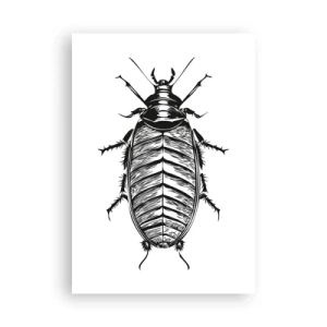 Plakat - Co za okaz! - 70x100 cm