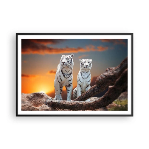Plakat w czarnej ramie - Białe tygrysy w zachodzącym słońcu na tle natury - 100x70cm - Zupełnie jak w Narni - Nowoczesna dekoracja ścienna do salonu i sypialni ARTTOR