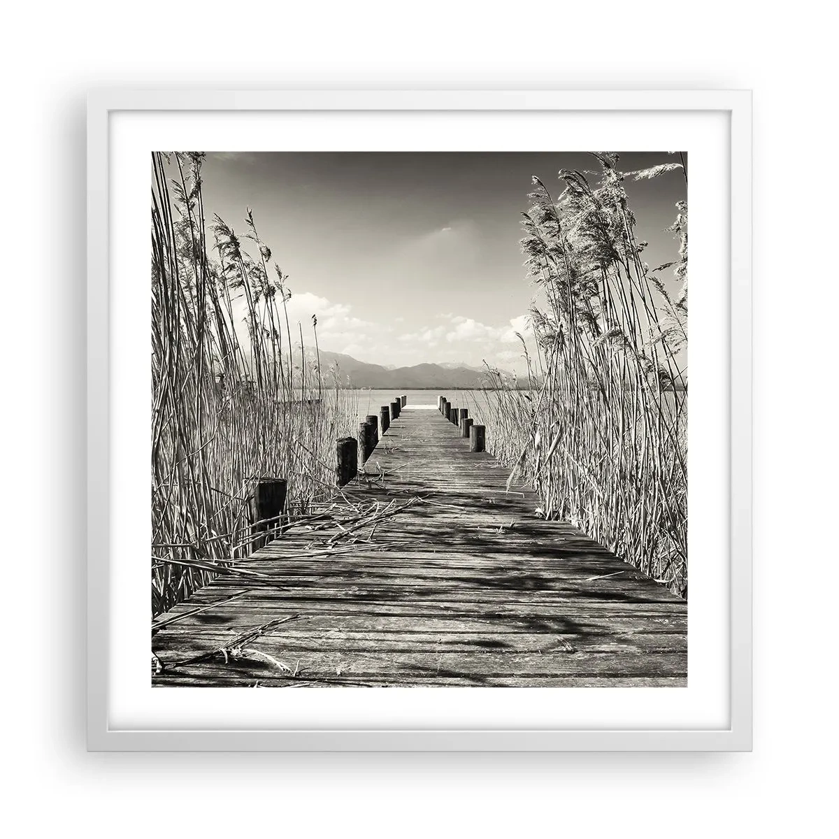Plakat w białej ramie - W zaciszu traw - 50x50 cm