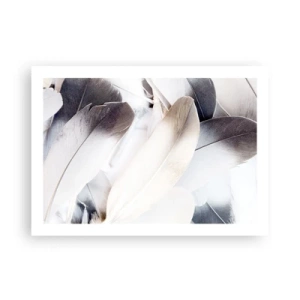 Plakat - Niemal anielskie - 70x50 cm