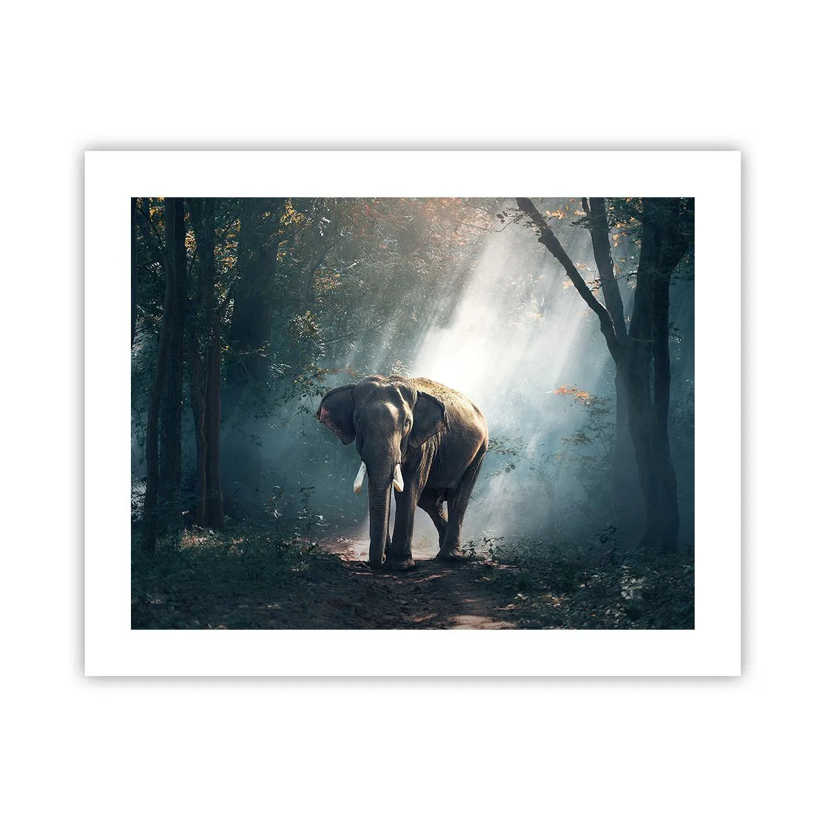 Plakat - Spokojna przechadzka - 50x40 cm