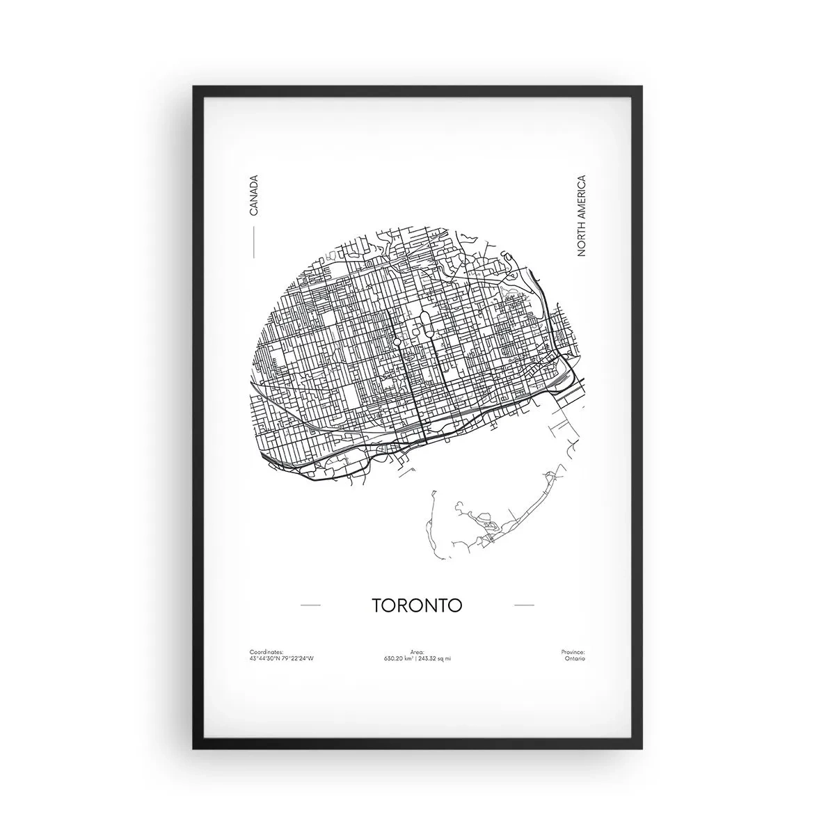 Plakat w czarnej ramie - Anatomia Toronto - 61x91 cm