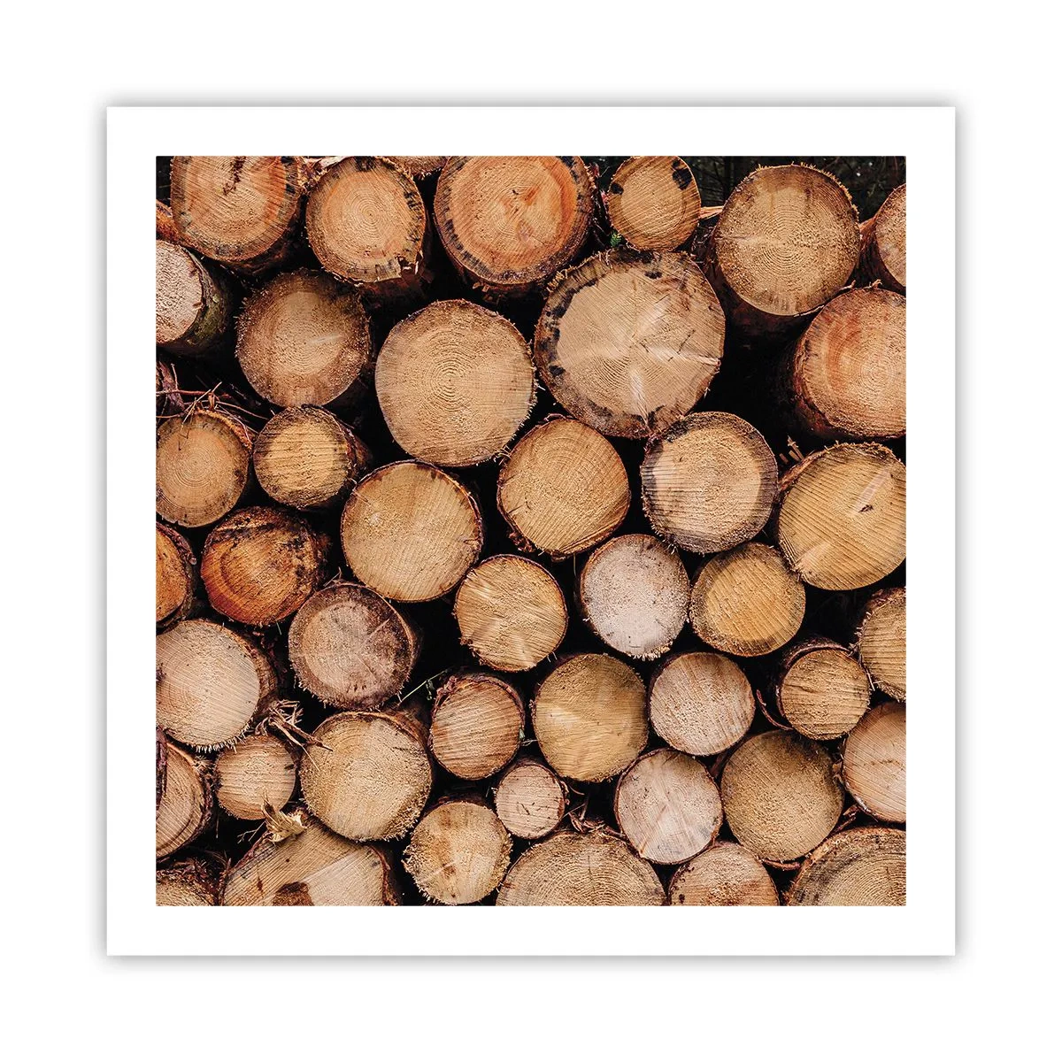 Plakat - Nowy początek - 60x60 cm