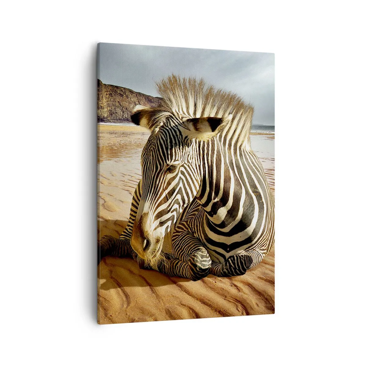 Obraz na płótnie - Zebra leżąca na piasku przy plaży z górami w tle - 50x70cm - Pasujemy do siebie - Nowoczesna dekoracja ścienna do salonu, kuchni i sypialni ARTTOR