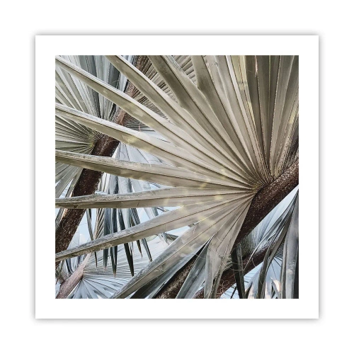 Plakat - Wachlarze w tropikach - 50x50 cm