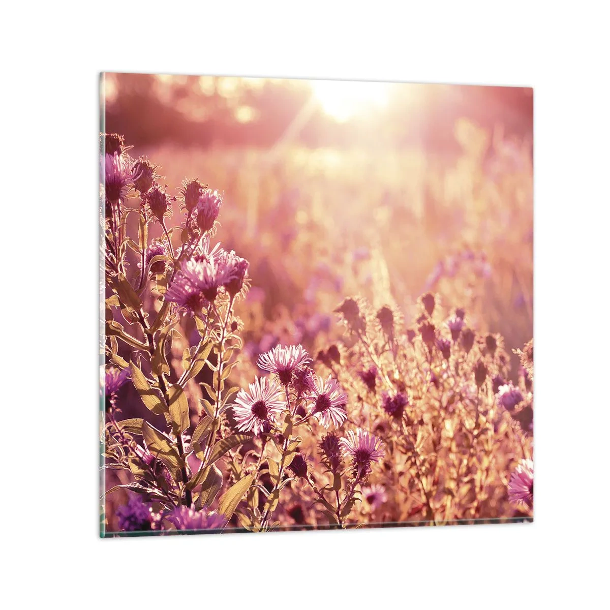 Obraz na szkle - Przed odejściem lata - 30x30 cm