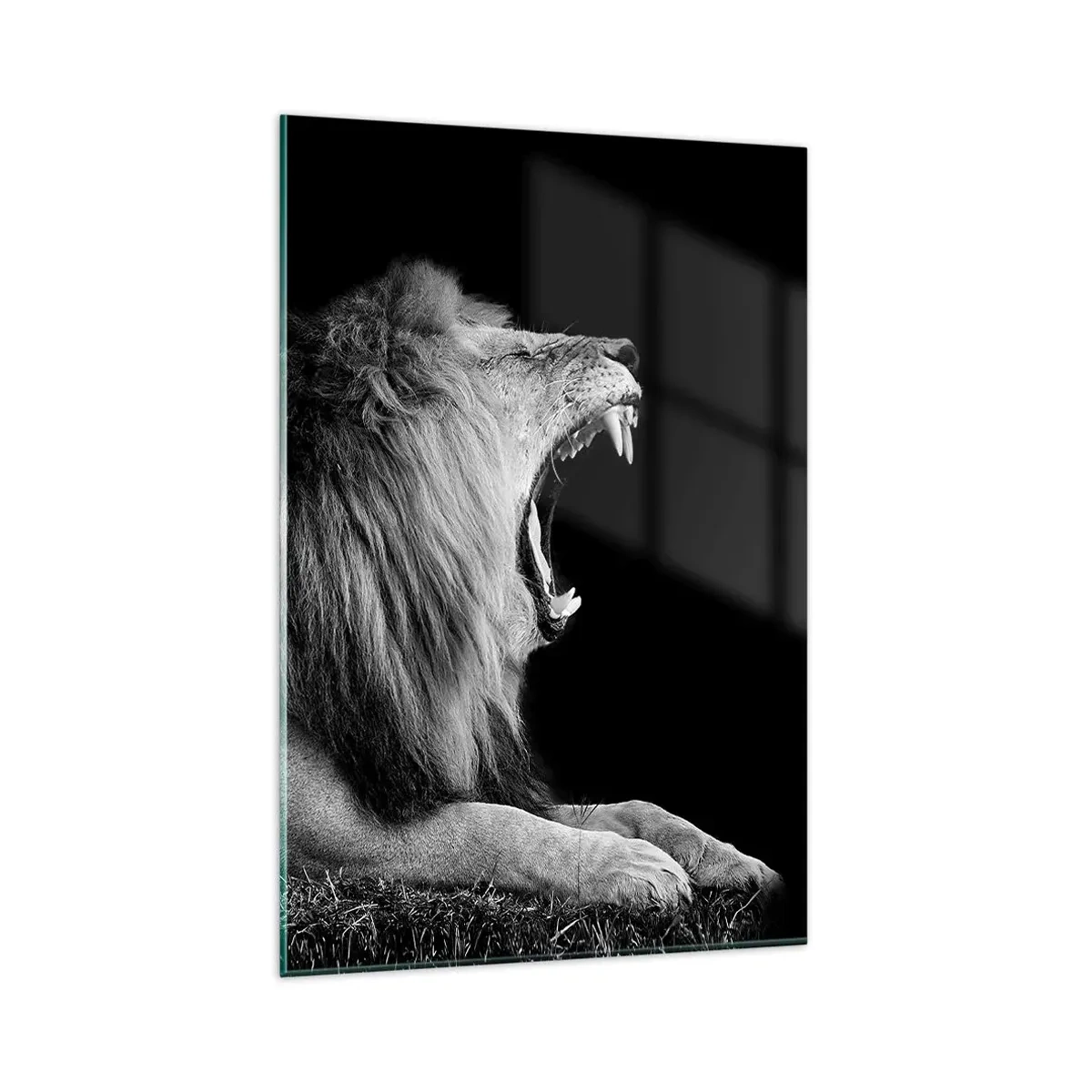 Obraz na szkle - Ryczący lew na czarnym tle w czarno-białej tonacji - 80x120cm - Bez żadnych wątpliwości - Nowoczesna dekoracja ścienna do salonu i sypialni ARTTOR