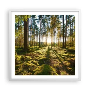Plakat w białej ramie - …Za siedmioma lasami - 60x60 cm