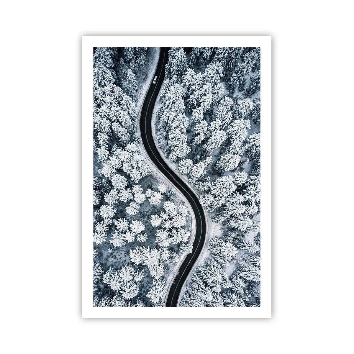 Plakat - Przez zimowy las - 61x91 cm
