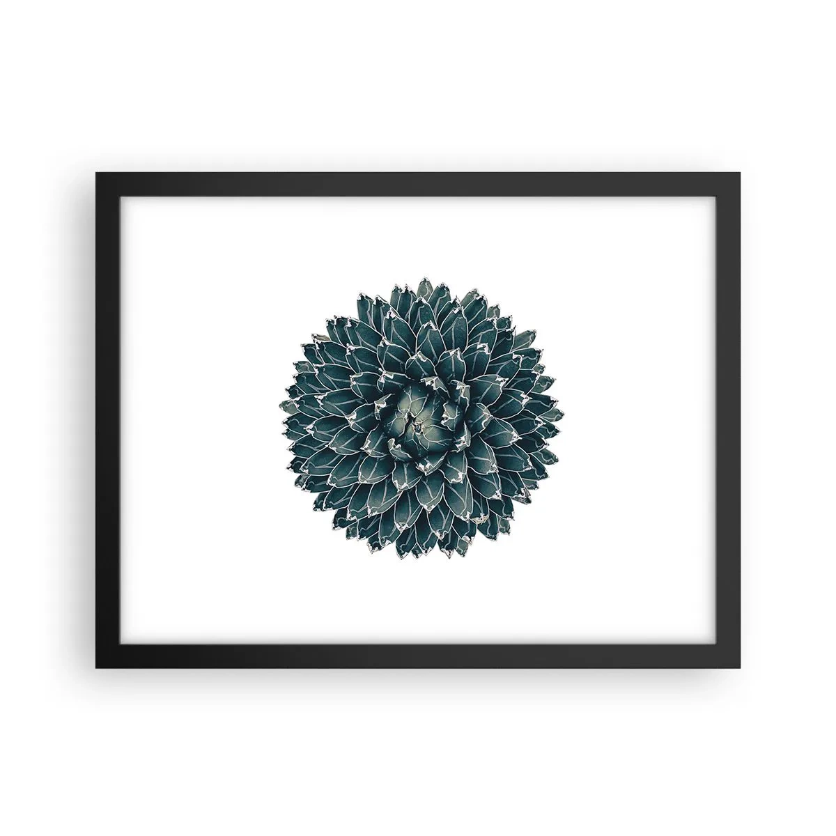 Plakat w czarnej ramie - Gwiazda pustyni - 40x30 cm