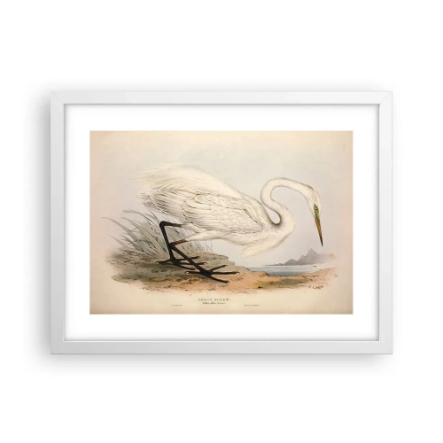 Plakat w białej ramie - Pani na szuwarach - 40x30 cm
