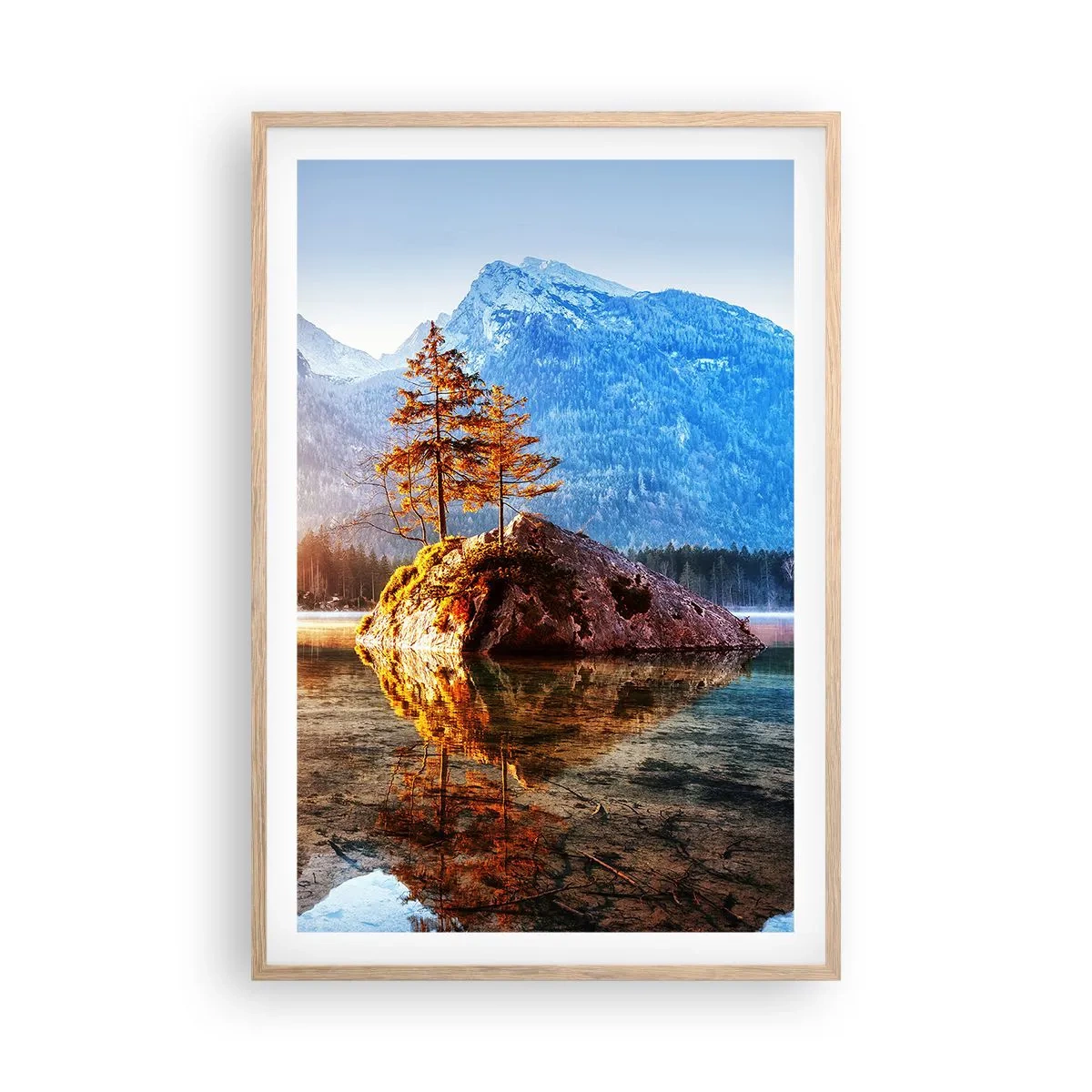 Plakat w ramie jasny dąb - Natura w nowym świetle - 61x91 cm