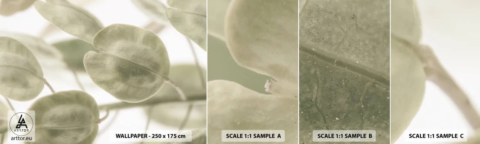 Fototapeta Próbka Samoprzylepna Deluxe Sticker - Na początku były listki… - Kwiaty, Spokojny, Liście - 100x30 cm