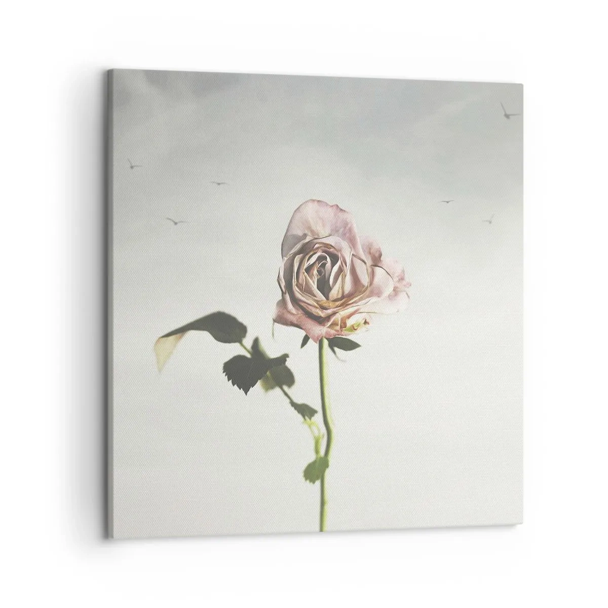 Obraz na płótnie - Powitanie wiosny - 50x50 cm