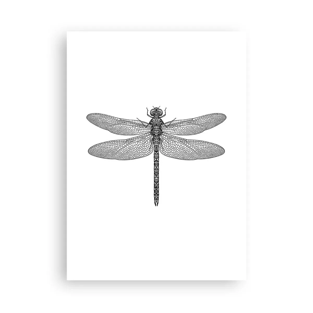 Plakat - Czarno-biała ilustracja ważki na białym tle - 50x70cm - Precyzja natury - Nowoczesna dekoracja ścienna do salonu, kuchni i sypialni ARTTOR