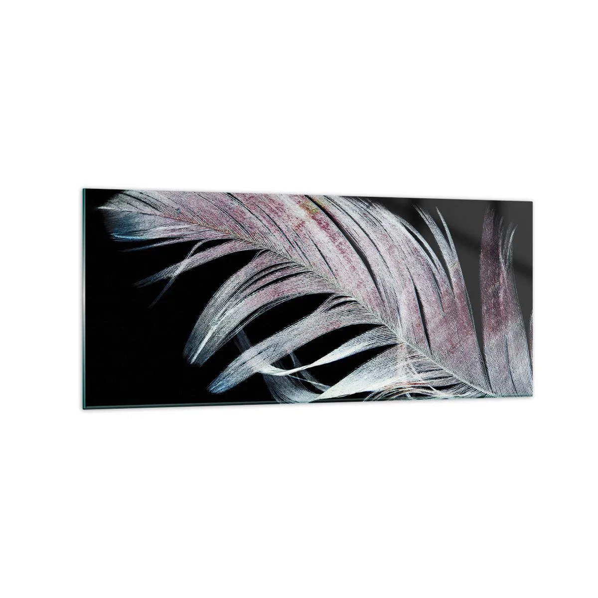 Obraz na szkle - Delikatne pióro na czarnym tle w artystycznym ujęciu - 120x50cm - Pomyśl o dotyku - Nowoczesna dekoracja ścienna do salonu i sypialni ARTTOR