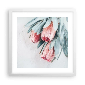 Plakat w białej ramie - Zawstydzone własną urodą - 40x40 cm