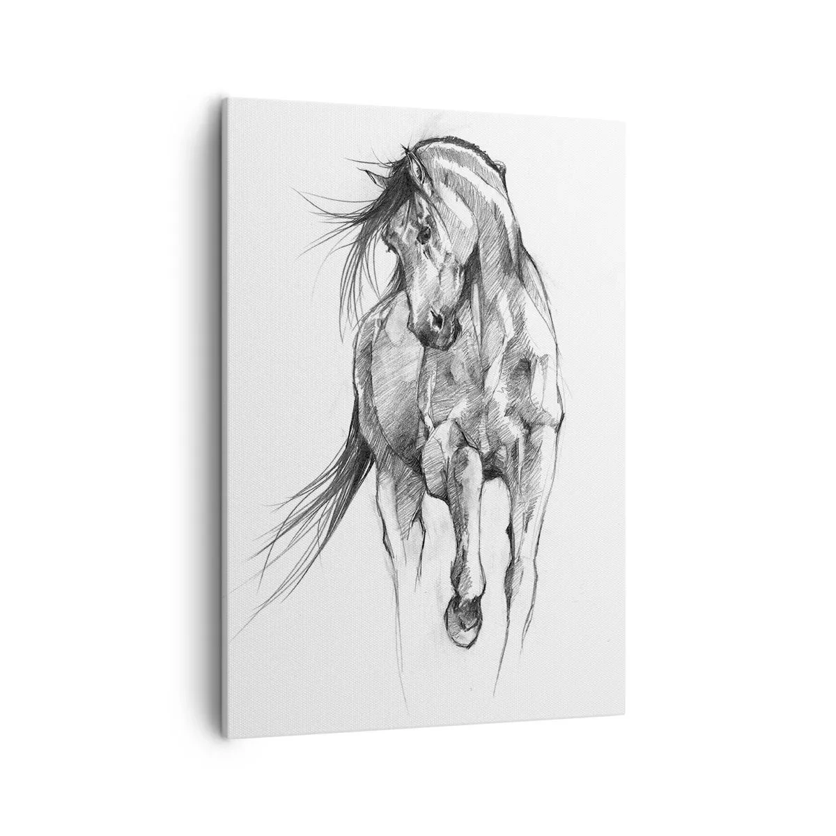 Obraz na płótnie - Rysunek konia w ruchu wykonany ołówkiem na białym tle - 50x70cm - We wdzięcznym kłusie - Nowoczesna dekoracja ścienna do salonu, kuchni i sypialni ARTTOR