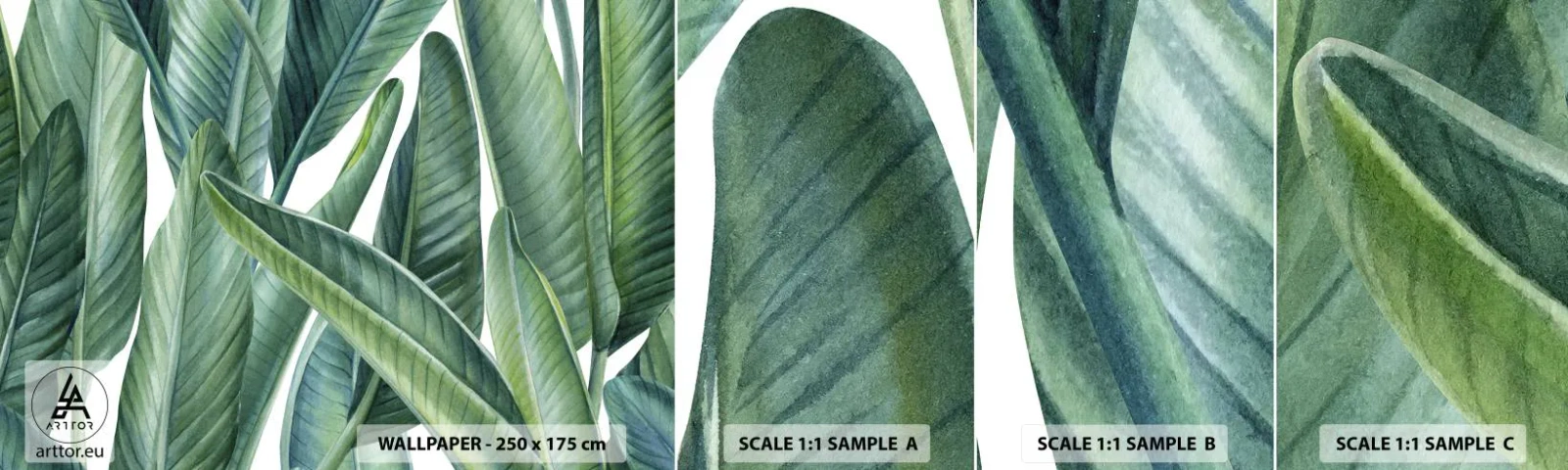 Fototapeta Próbka Standard Eco - Zieleń sama w sobie - Zielone Liście, Roślina Tropikalna, Natura - 100x30 cm
