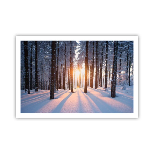 Plakat - Wyraźnie czarno na białym - 91x61 cm