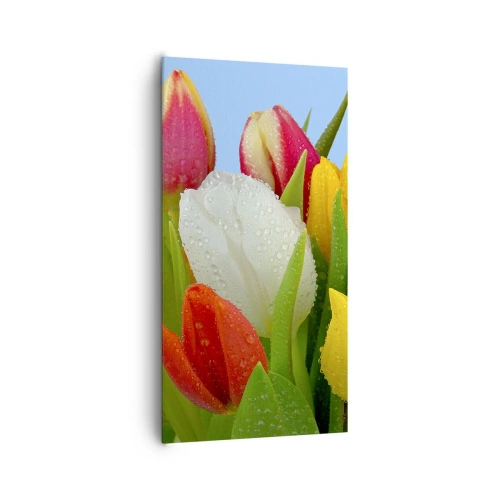 Obraz na płótnie - Kwiatowa tęcza w kroplach rosy - 65x120 cm