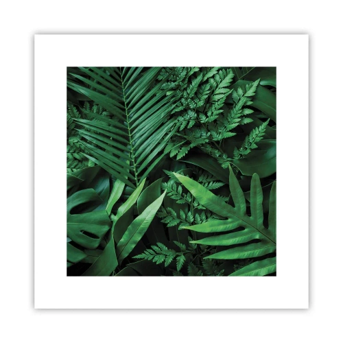 Plakat - Utulone w zieleni - 30x30 cm