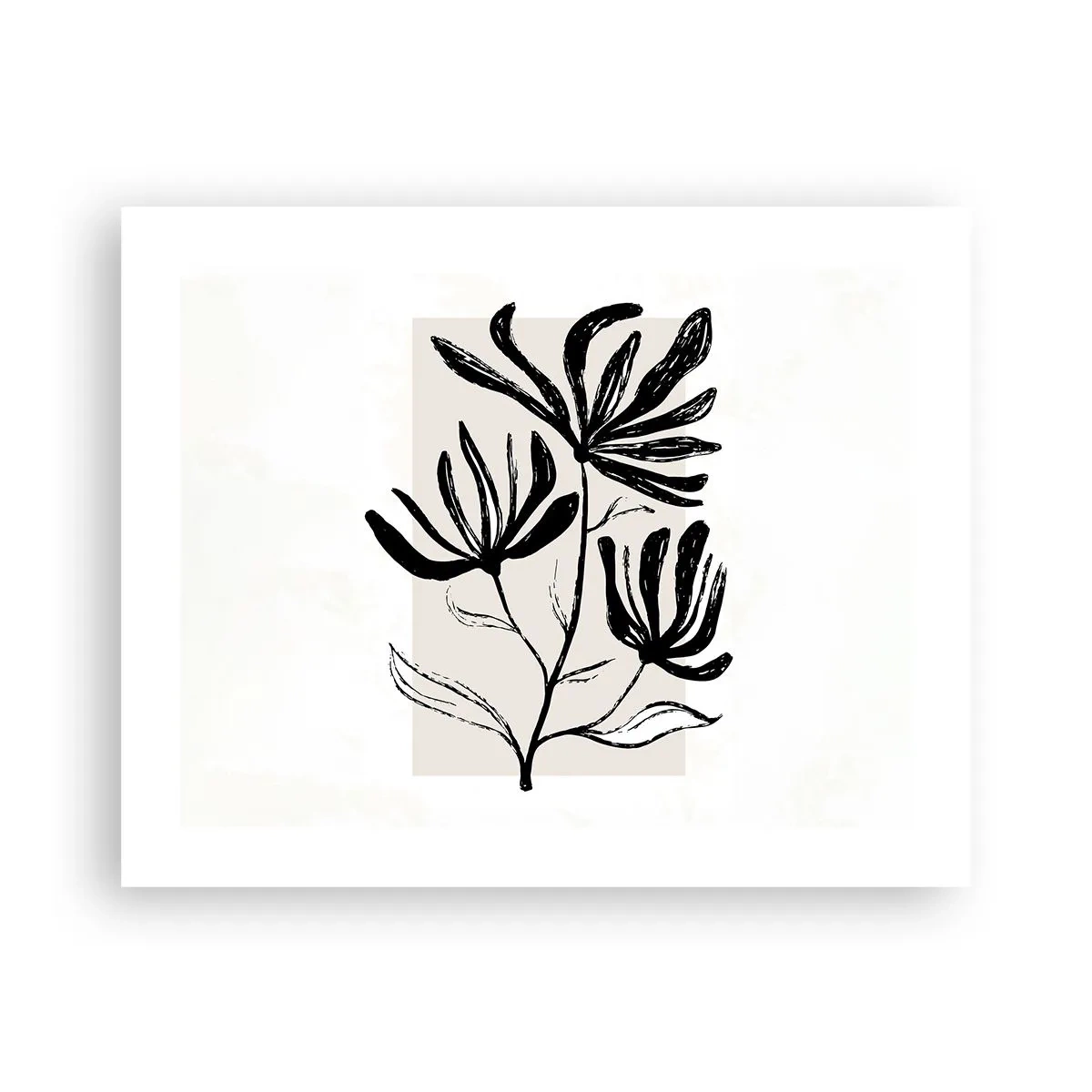 Plakat - Szkic do zielnika - 50x40 cm