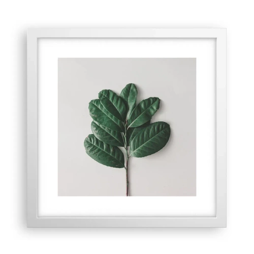 Plakat w białej ramie - Rysunek samej natury - 30x30 cm