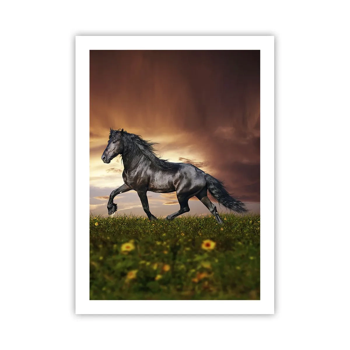 Plakat - Czarny koń galopujący po łące w świetle zachodzącego słońca - 50x70cm - Czarny książę - Nowoczesna dekoracja ścienna do salonu, kuchni i sypialni ARTTOR