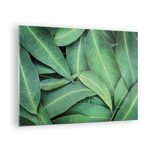 Obraz na szkle - Zbliżenie zielonych liści ułożonych warstwowo - 70x50cm - Soczyste i świeże - Nowoczesna dekoracja ścienna do salonu i sypialni ARTTOR