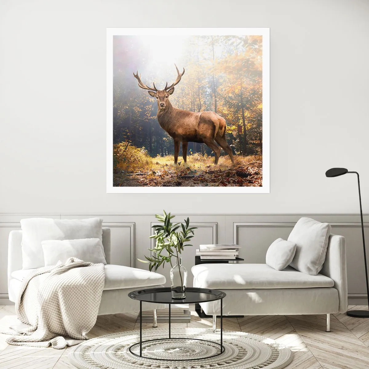 Plakat - W pełnym majestacie - 50x50 cm