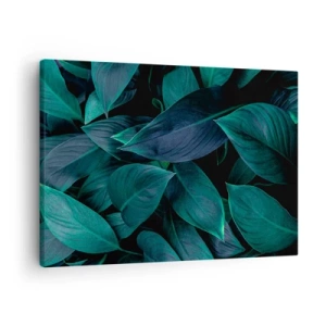 Obraz na płótnie - Zbliżenie na zielone liście z ciemnym tłem - 70x50cm - Zieleń sama w sobie - Nowoczesna dekoracja ścienna do salonu i sypialni ARTTOR