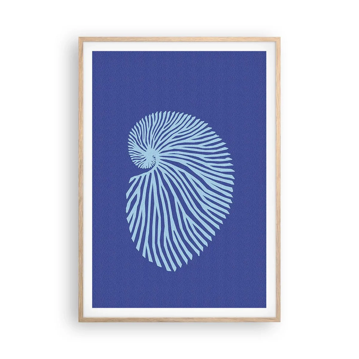 Plakat w ramie jasny dąb - Narodziny muszli - 70x100 cm