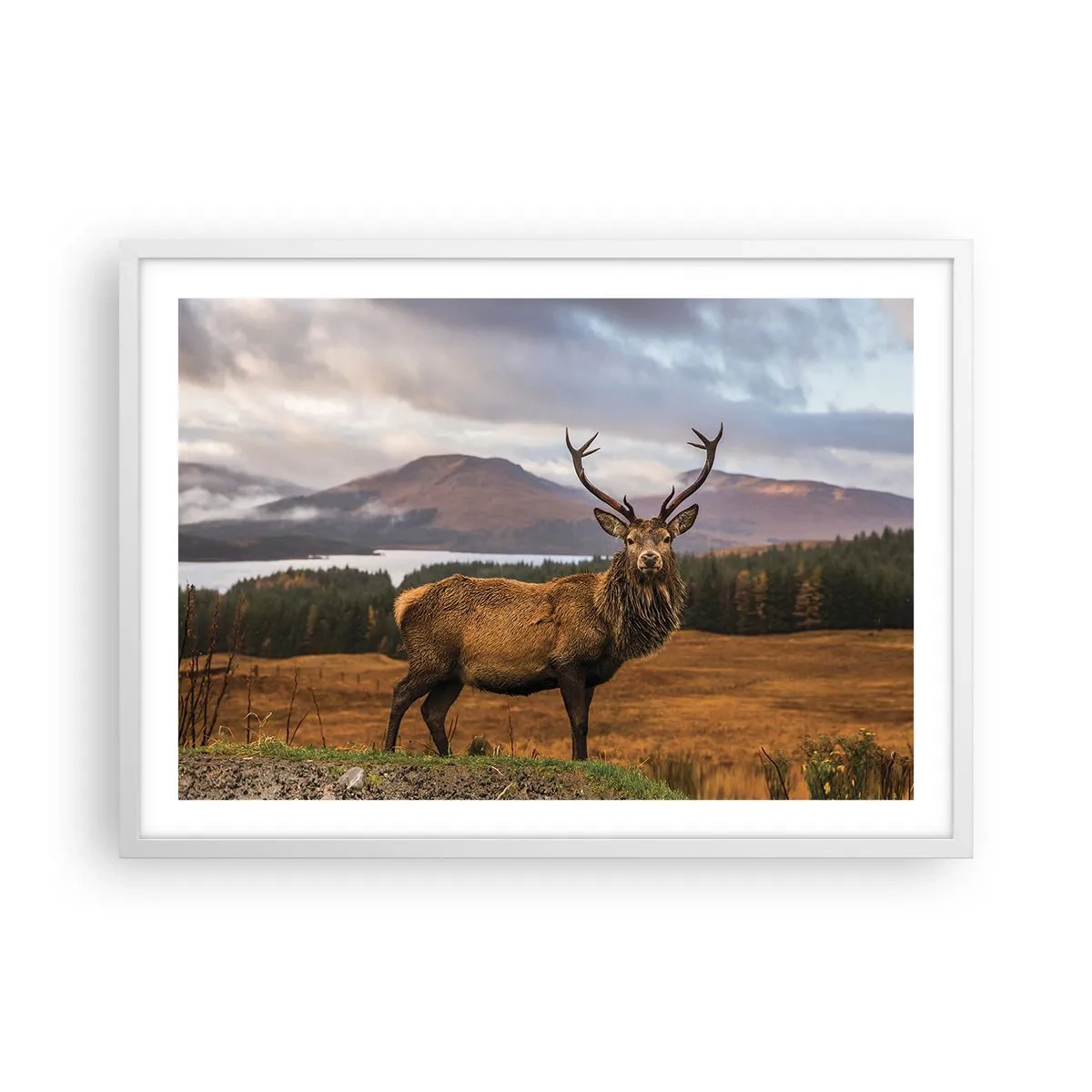 Plakat w białej ramie - Majestat natury - 70x50 cm
