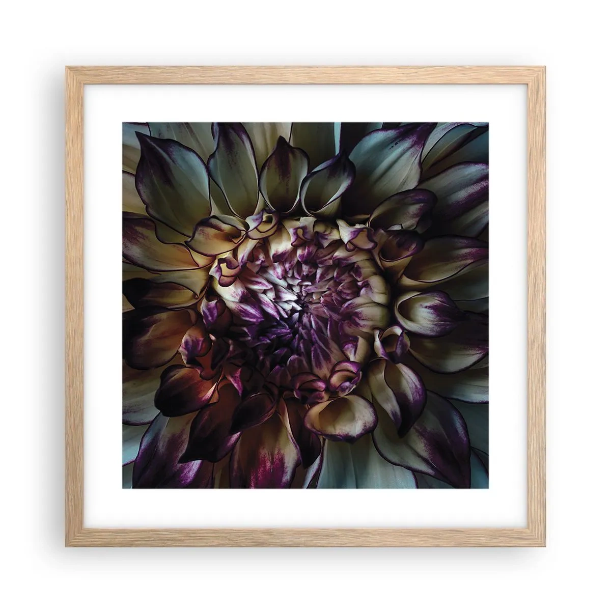 Plakat w ramie jasny dąb - Rozkwit młodości - 40x40 cm