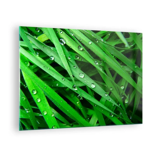 Obraz na szkle - Zielone źdźbła trawy z kroplami rosy - 70x50cm - Zagraj w zielone - Nowoczesna dekoracja ścienna do salonu i sypialni ARTTOR